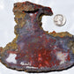 Rare, multi-colored moss agate from the Ahouli beds in Morocco.  #6