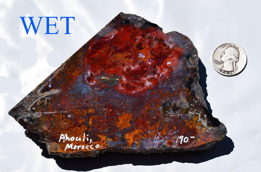 Rare, multi-colored moss agate from the Ahouli beds in Morocco. #7