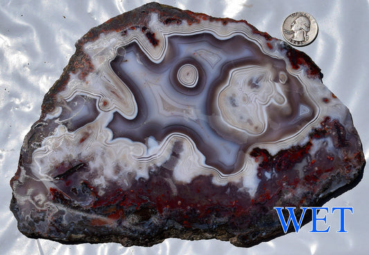 Moroccan Ghost Agate from the Ahouli region. Collector slab #3