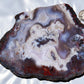 Moroccan Ghost Agate from the Ahouli region. #4