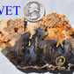 Graveyard Point Plume Agate - Group #1