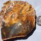 Graveyard Point Plume Agate - Group #1
