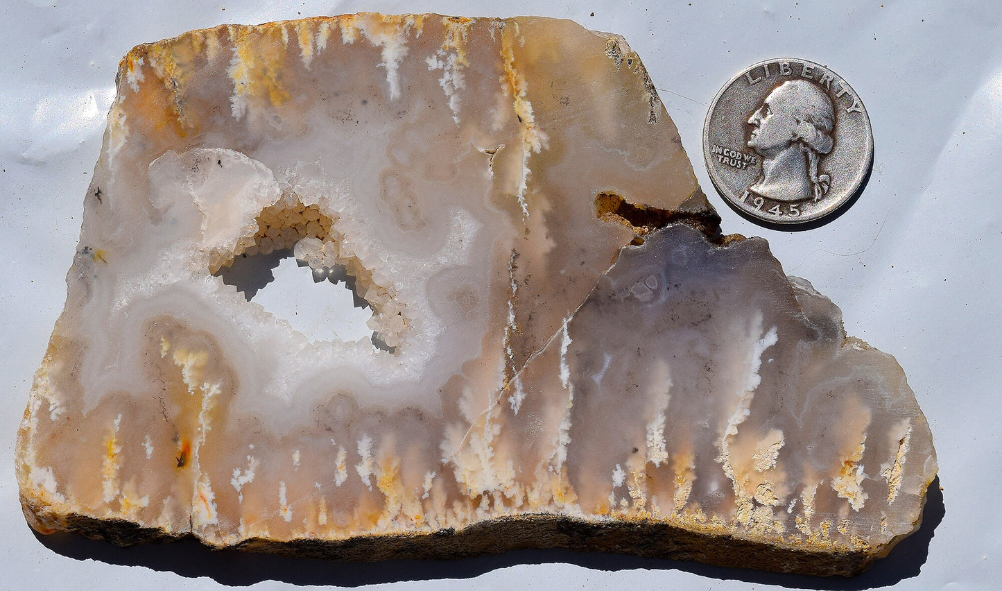 Graveyard Point Plume Agate Group # 2