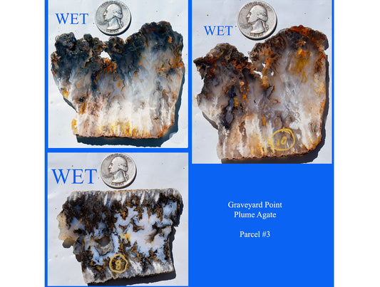 Graveyard Point Plume Agate group #3