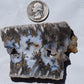 Graveyard Point Plume Agate group #3