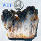 Graveyard Point Plume Agate group #3