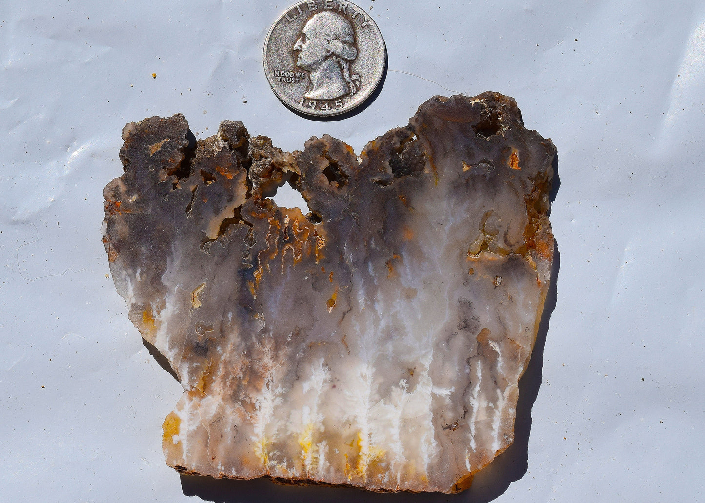 Graveyard Point Plume Agate group #3