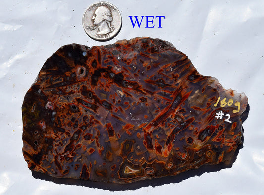 High grade Turkish stick agate - Slab #2