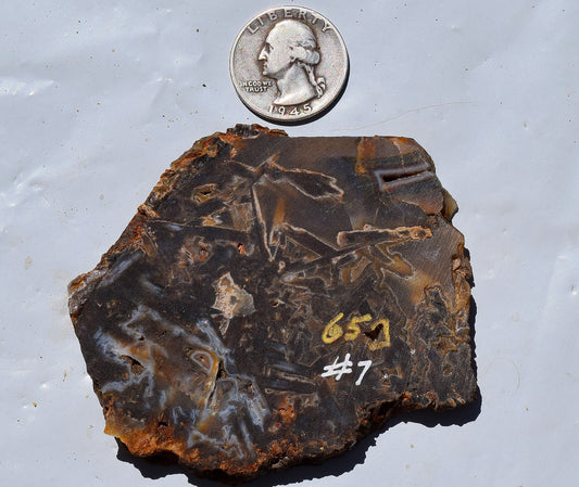 High grade Turkish stick agate. Slab #7