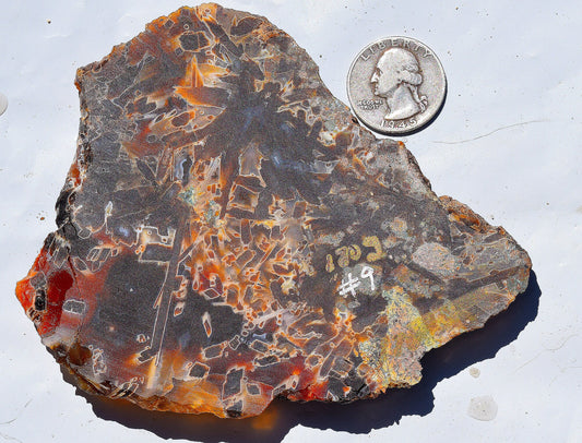 High grade Turkish stick agate. Slab #9