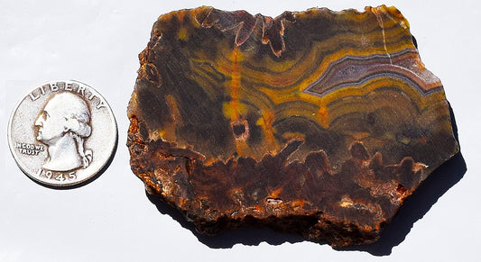 High grade Turkish stick agate. Slab #12