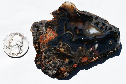 High grade Turkish stick agate. Slab #13