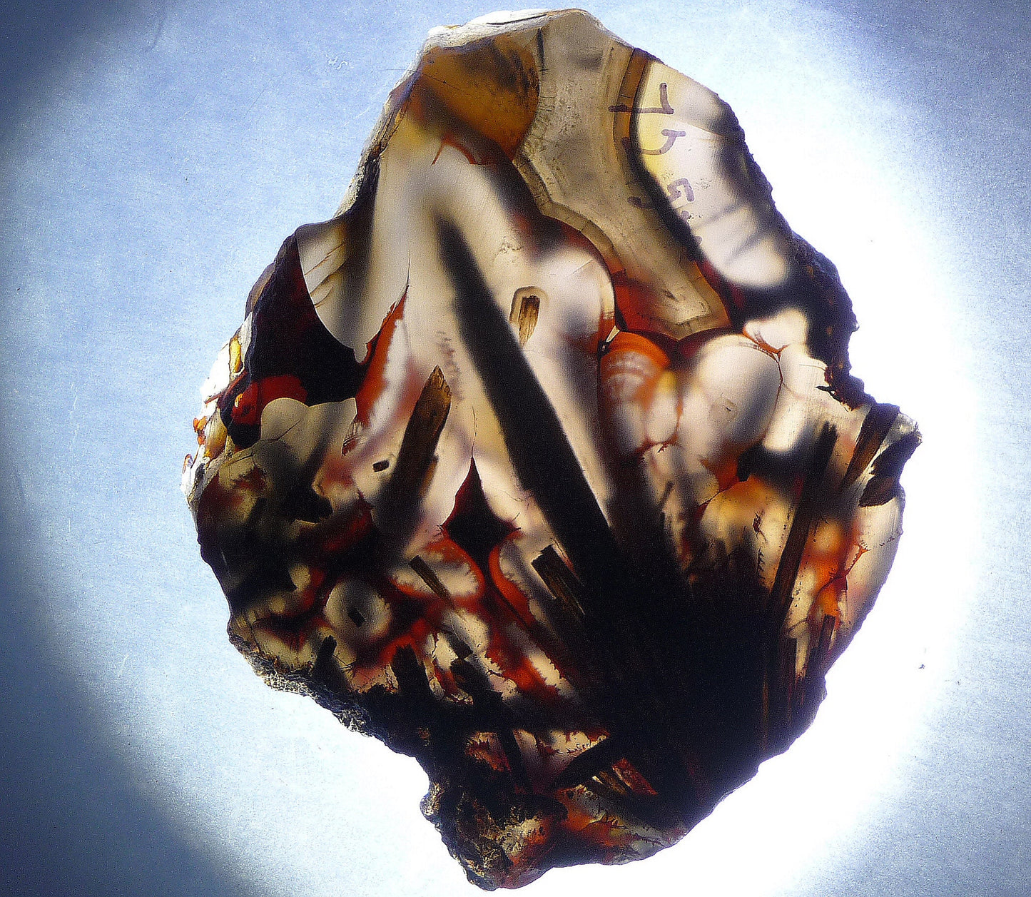 TOP GEM! Highest quality of Turkish Stick Agate! Slab #1 of 6